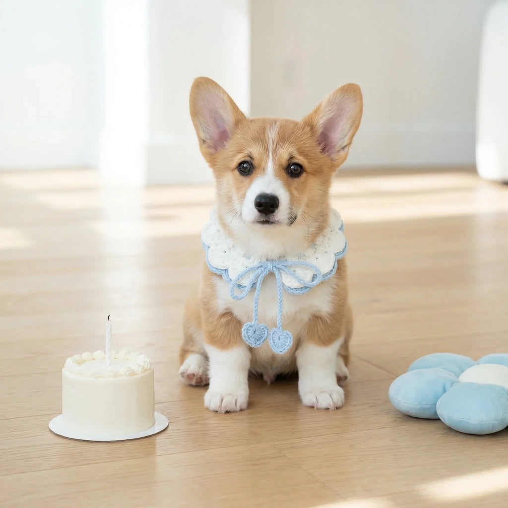 Handmade Crochet Pet Collar | White Blue Heart Ruffled Dog Cat Bandana with Pom Poms