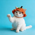 Handmade crocheted pumpkin cat hat for Halloween, custom cat costume