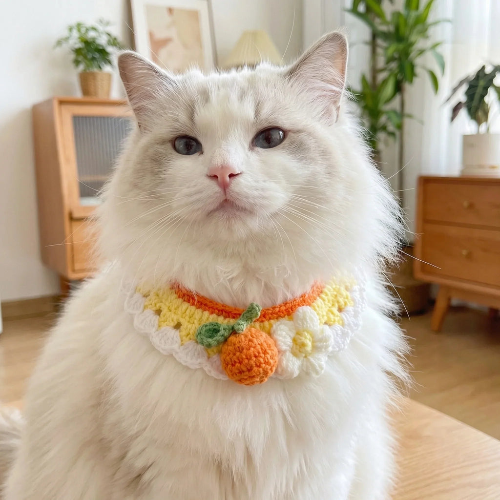 Handmade Knitted Cat Collar with Orange Fruit, Cute Crochet Floral Pet Bib for Long Hair Cats, Handmade Soft Cat Accessories, Yellow White Cotton Cat Neckwear