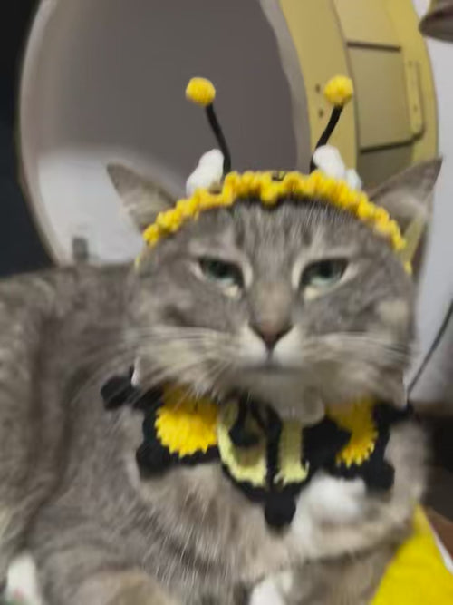 Handmade Knitted Bee Cat Hat with Matching Bib, Cute Crochet Bumblebee Cat Outfit, Handmade Cat Accessories for Small Pets, Yellow Black Knitted Cat Collar for Cats
