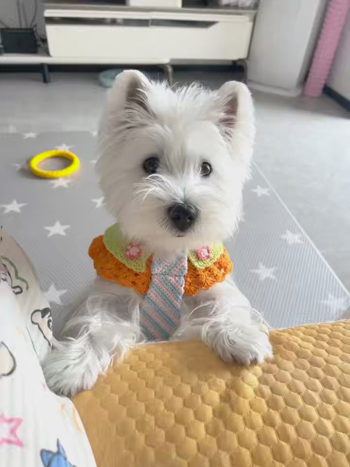 Fully Custom Handmade Crochet Pet Bandana – Send Your Photo or Dream Design, Add Pet Name – One of a Kind Just for Them