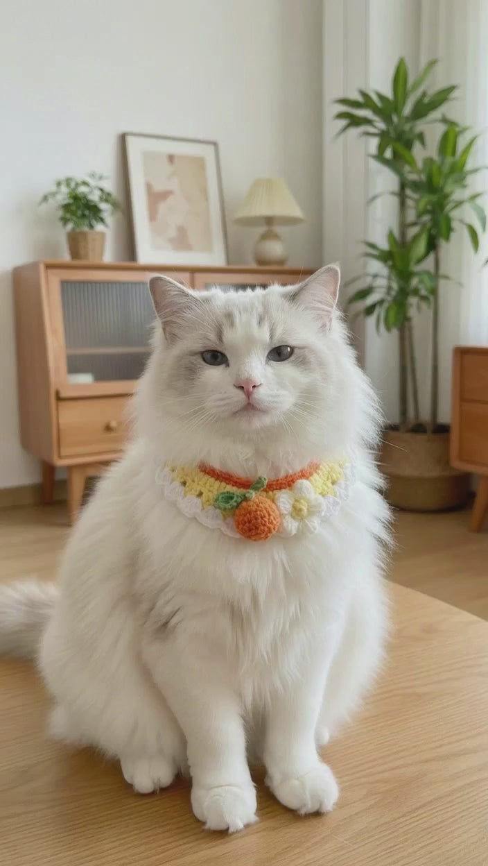 Crochet Citrus Gradient Pet Scarf – Orange Yellow White, Cotton-Silk Yarn, Customizable from Photo