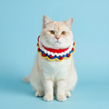 Handmade Crochet Pet Collar | Ruffled Pom Pom Trim Dog Cat Bandana Soft Adjustable